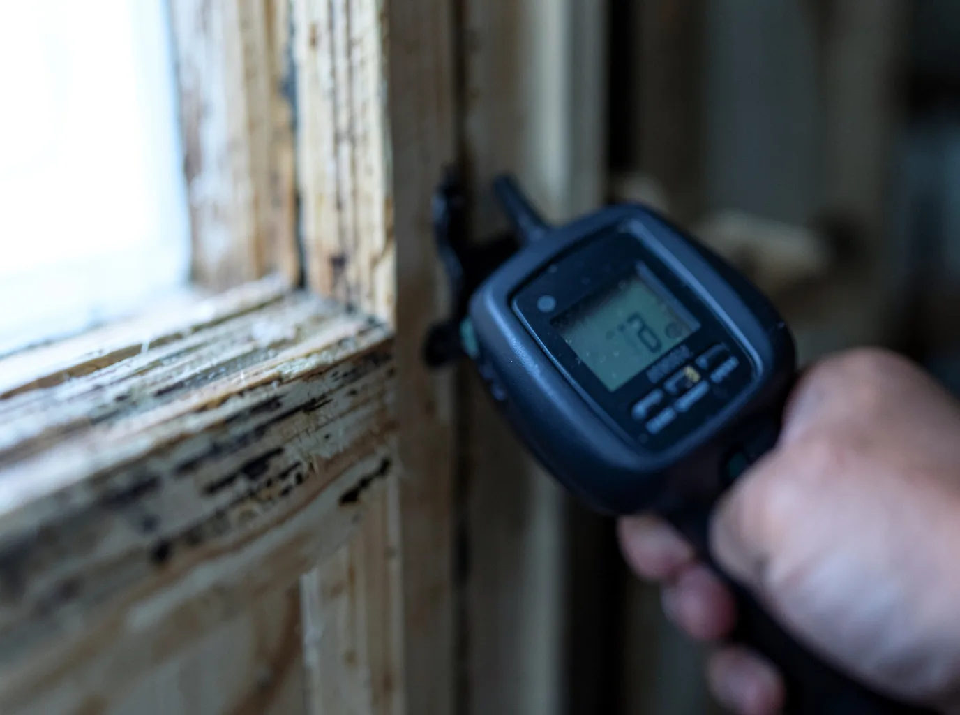 Moisture Inspection And Documentation in Rochester, VT